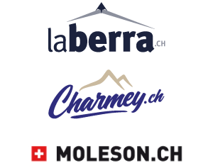 Logo partenaire